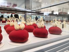 -罗红摄影艺术馆