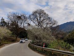 -广州市流溪河国家森林公园