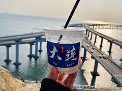 -星海湾跨海大桥