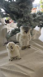 -IMON·HANSA潮玩玩偶毛绒玩具(通州万象汇店)