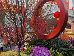 -越秀西湖花市(广州城市广场花卉店)