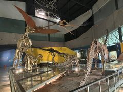 -湖南省地质博物馆