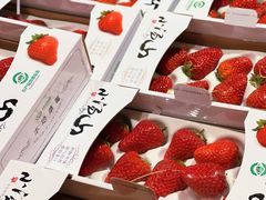 -T11生鲜超市(朝阳公园店)