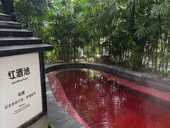-融汇温泉