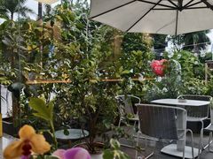 -花神·轻食简餐·咖啡馆·花卉绿植(荷兰花卉小镇店)