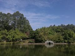 -三水森林公园