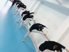 -西安小天鹅艺术团(曲江Alice店)