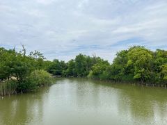 -上海吴淞炮台湾国家湿地公园