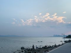 -深圳湾公园(南山区)