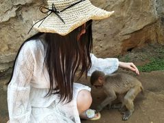 -海南热带野生动植物园