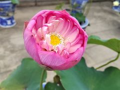 -重元寺