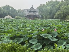 -莲池书院博物馆