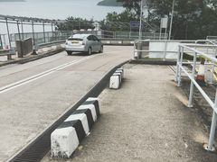 -黄家驹墓