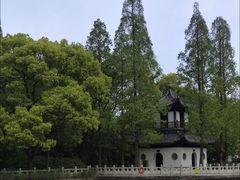 -汇龙潭