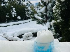 -莫内艺术岛海景咖啡