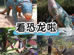 -中国西峡恐龙遗迹园