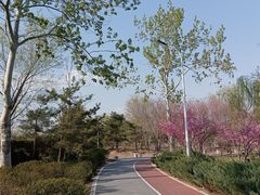 -绿堤公园