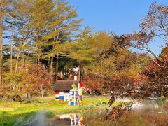 -田野绿世界