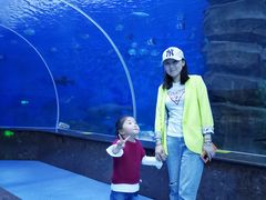 -多彩贵州城极地海洋世界