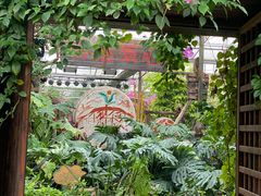 -呀路古热带植物园