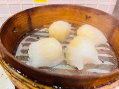 陈光记虾饺皇-澳门陈光记烧味饭店(郎家园店)