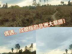 -国际非物质文化遗产博览园