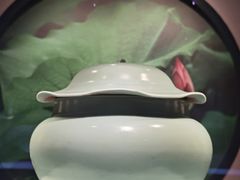 -四川宋瓷博物馆