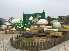 -上海都市菜园