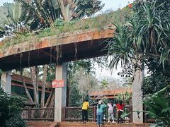 -海南热带野生动植物园