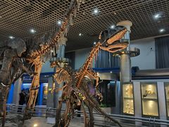 -国家自然博物馆