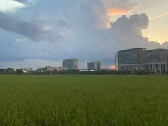 -光明小镇欢乐田园