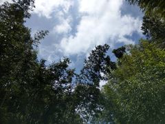 -井冈山风景名胜区