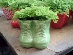 -三圣花乡旅游区