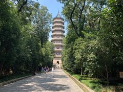 -灵谷景区