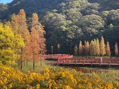 -广州市石门国家森林公园