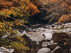-光雾山旅游景区