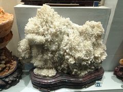 -河南自然博物馆