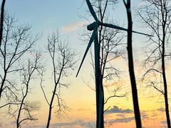 -黄海国家森林公园