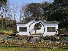 -上海共青森林公园