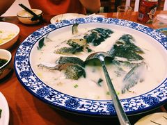 -全乐鱼馆·淳牌有机鱼直营店