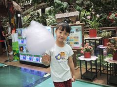 -正佳雨林生态植物园