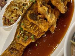 -金春禧·鲁菜海鲜(延吉路万达店)