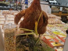 -沃尔玛购物广场(中山店)