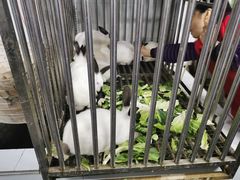-灶东家民间菜(回兴店)