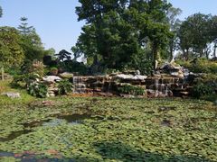 -东莞植物园