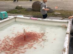 -白塘生态植物园