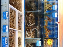 -77号渔船·蒸海鲜青岛菜(积米崖店)