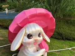 -映月湖公园