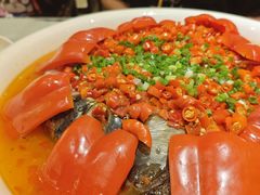 -豆花酒楼·三十八年匠心(秦皇东大街店)