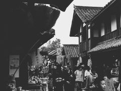 -秀丽东方